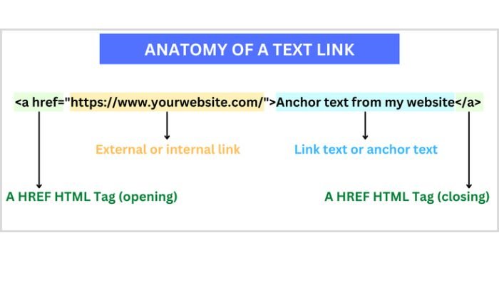 anatomy of text link