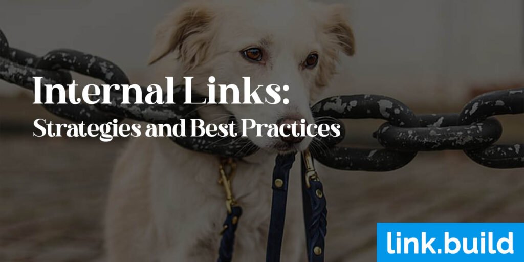 Internal Links Strategies and Best Practices